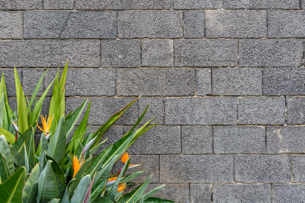 Standard-driveway